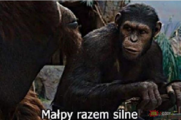 Bez-tytulu.png